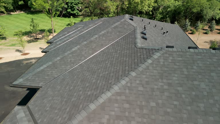 Best Roof Moss and Algae Removal  in Stryker, OH