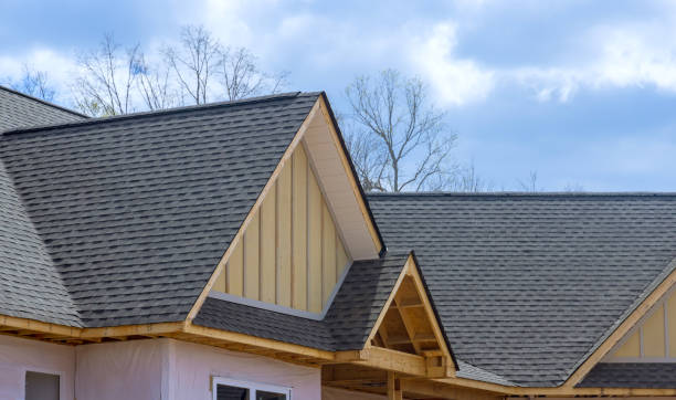 Best Roof Leak Repair  in Stryker, OH